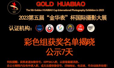 2023第五届“金华表”杯国际摄影大展揭晓（7组完整获奖名单）
