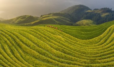 10月7日横跨广西、贵州二省六区之金秋航拍摄影团