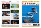 2026年3月《美丽中国影像报》电子版